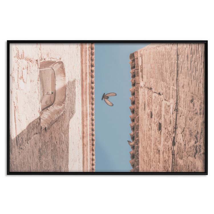Poster City Bird - Pigeon Flying Between Two Buildings 145351 additionalImage 19