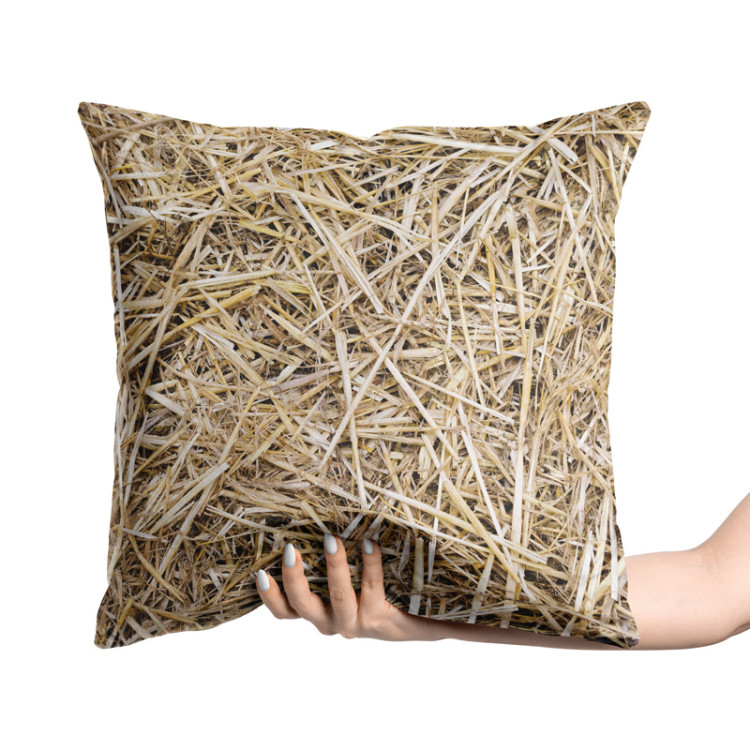 Decorative Velor Pillow Barn accommodation - a pattern imitating straw surface 147051 additionalImage 3