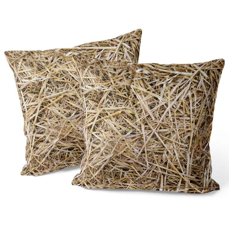 Decorative Velor Pillow Barn accommodation - a pattern imitating straw surface 147051 additionalImage 2