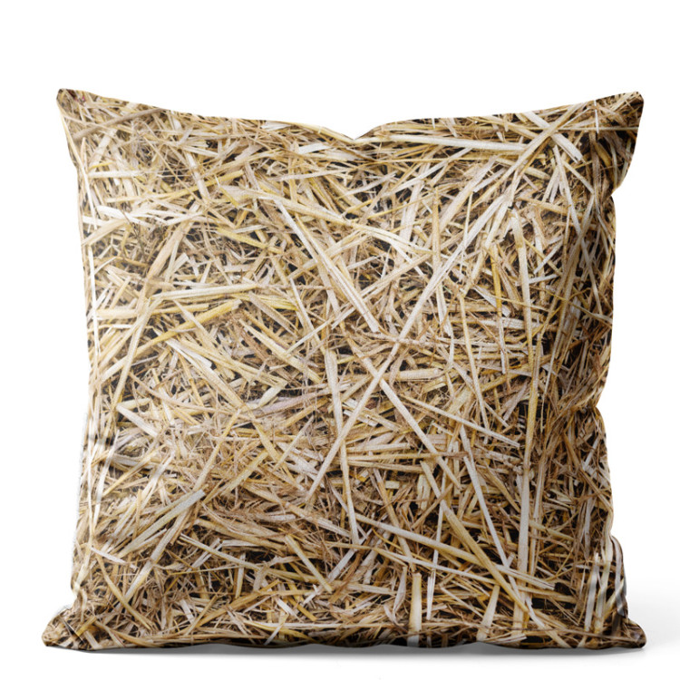 Decorative Velor Pillow Barn accommodation - a pattern imitating straw surface 147051