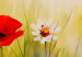 Canvas Print Poppies and Daisies (3-piece) - Colourful meadow of flowers with a dew effect 48651 additionalThumb 2