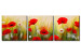 Canvas Print Poppies and Daisies (3-piece) - Colourful meadow of flowers with a dew effect 48651