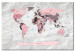 Cork Pinboard Pink Continents [Cork Map] 92251 additionalThumb 2