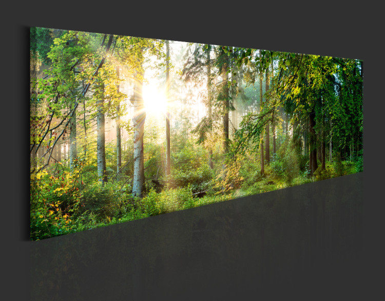 Print On Glass Forest Shelter [Glass] 92651 additionalImage 6