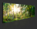 Print On Glass Forest Shelter [Glass] 92651 additionalThumb 6