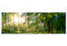 Print On Glass Forest Shelter [Glass] 92651 additionalThumb 2