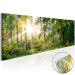 Print On Glass Forest Shelter [Glass] 92651