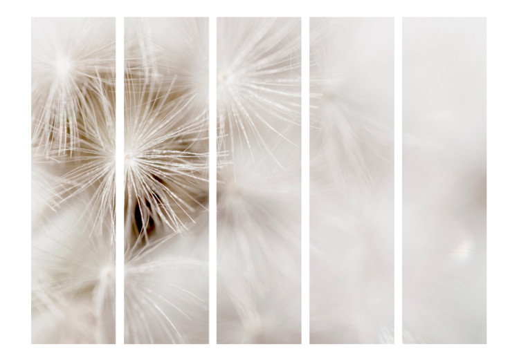 Room Divider Subtlety II - romantic dandelion flowers in the glow of a white background 95551 additionalImage 3