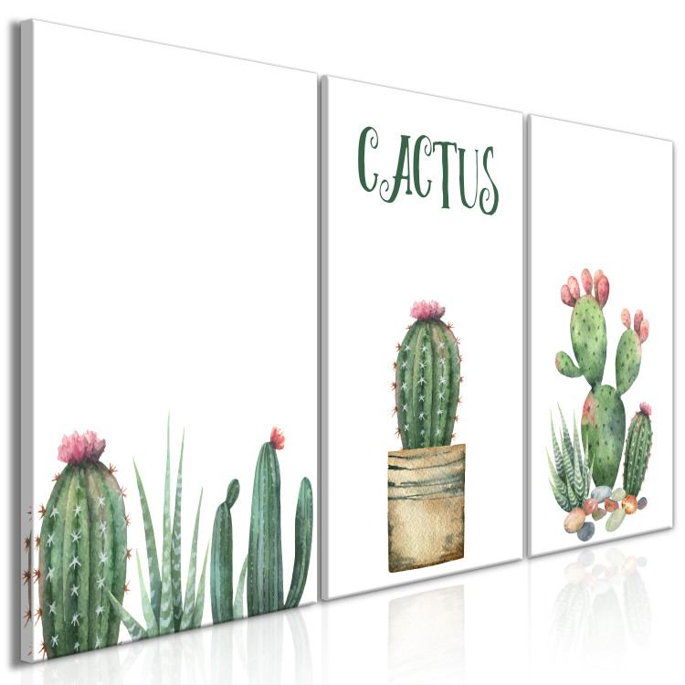 Canvas Three Cacti - Simplified, cheerful graphics of green plants 108561 additionalImage 2