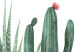 Canvas Three Cacti - Simplified, cheerful graphics of green plants 108561 additionalThumb 4