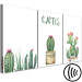 Canvas Three Cacti - Simplified, cheerful graphics of green plants 108561 additionalThumb 6