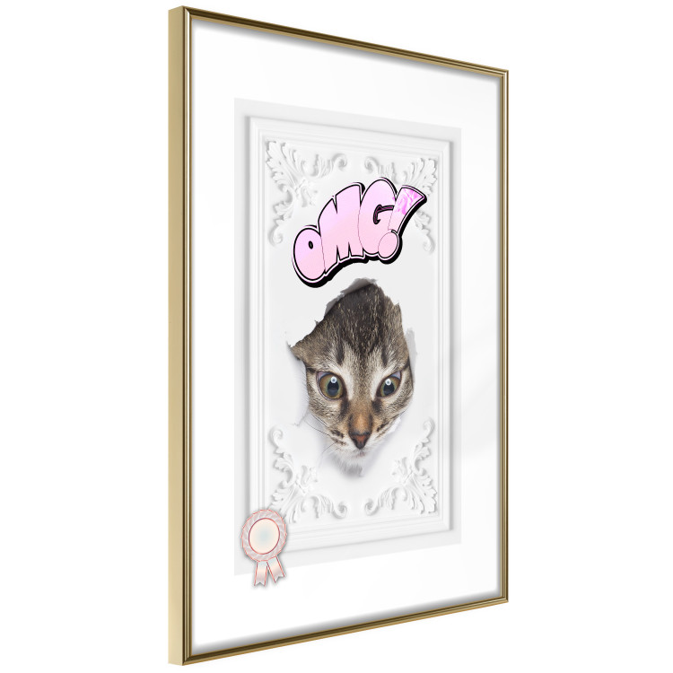 Wall Poster OMG! - Playful composition with a cat and English text on a white background 114361 additionalImage 10