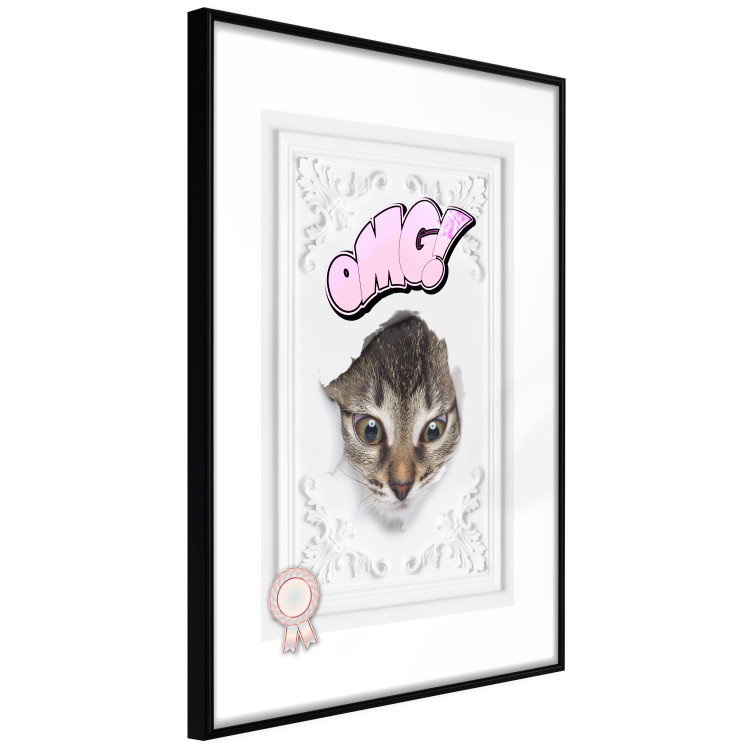 Wall Poster OMG! - Playful composition with a cat and English text on a white background 114361 additionalImage 11