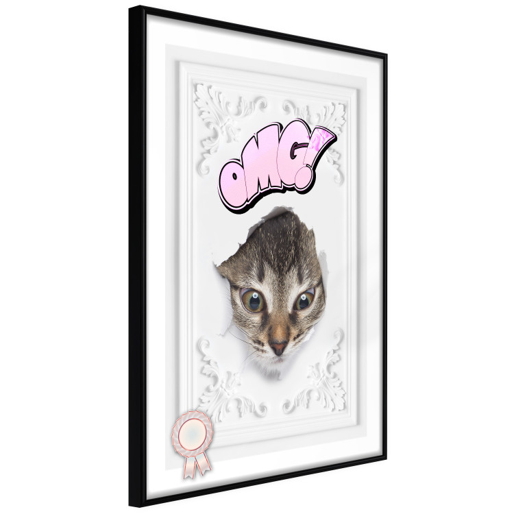 Wall Poster OMG! - Playful composition with a cat and English text on a white background 114361 additionalImage 14
