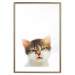 Wall Poster Annoyed cat - white-brown kitten with a funny expression on its face 114961 additionalThumb 14