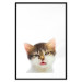 Wall Poster Annoyed cat - white-brown kitten with a funny expression on its face 114961 additionalThumb 15