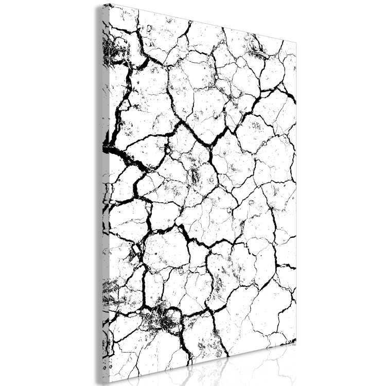 Canvas Drought - a minimalist black and white photograph of cracked sand 115061 additionalImage 2