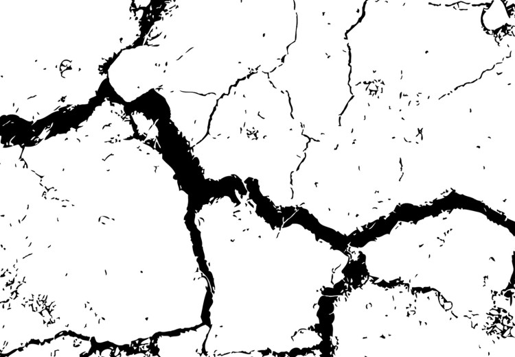 Canvas Drought - a minimalist black and white photograph of cracked sand 115061 additionalImage 4