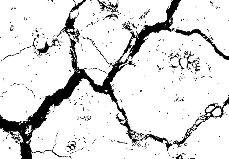 Canvas Drought - a minimalist black and white photograph of cracked sand 115061 additionalImage 5