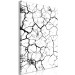Canvas Drought - a minimalist black and white photograph of cracked sand 115061 additionalThumb 2