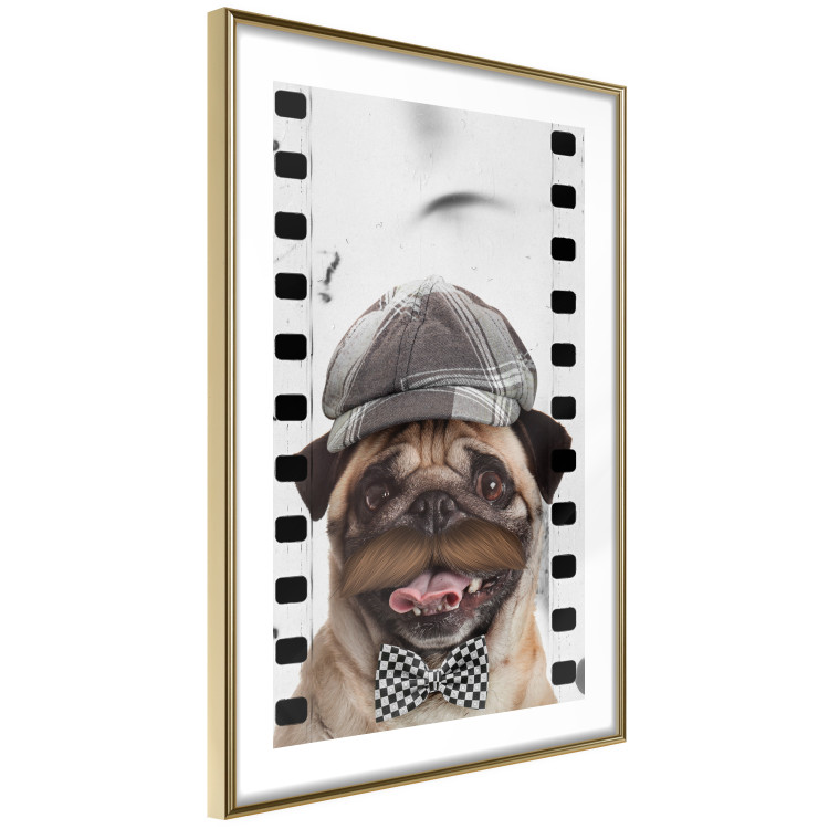 Poster Pug in a Hat - funny fantasy with a mustached dog with a black and white bowtie 116361 additionalImage 8