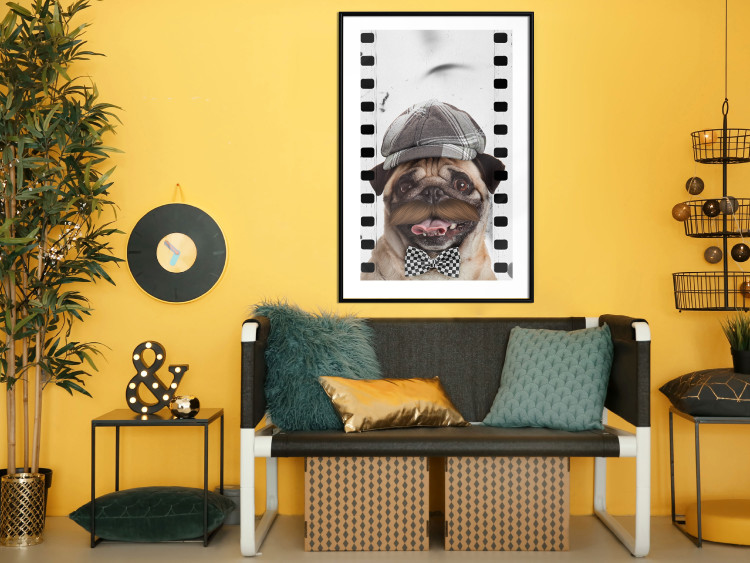 Poster Pug in a Hat - funny fantasy with a mustached dog with a black and white bowtie 116361 additionalImage 6