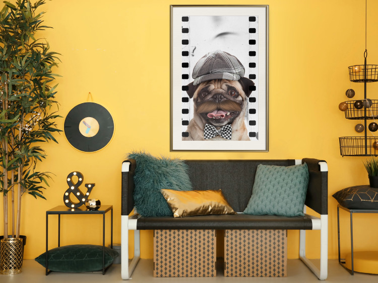Poster Pug in a Hat - funny fantasy with a mustached dog with a black and white bowtie 116361 additionalImage 21