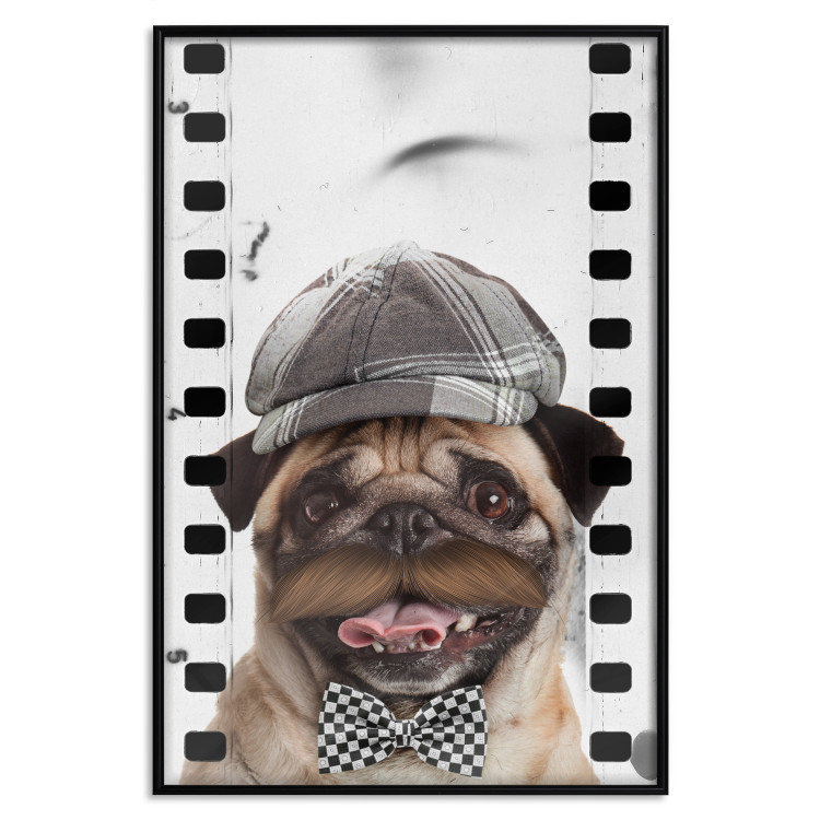 Poster Pug in a Hat - funny fantasy with a mustached dog with a black and white bowtie 116361 additionalImage 24