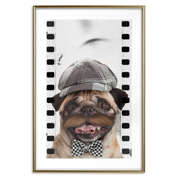 Poster Pug in a Hat - funny fantasy with a mustached dog with a black and white bowtie 116361 additionalImage 16