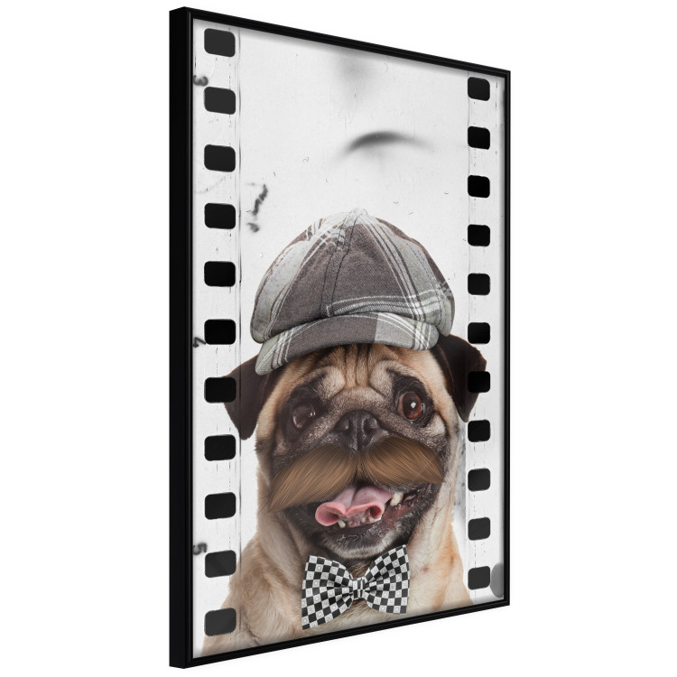 Poster Pug in a Hat - funny fantasy with a mustached dog with a black and white bowtie 116361 additionalImage 10