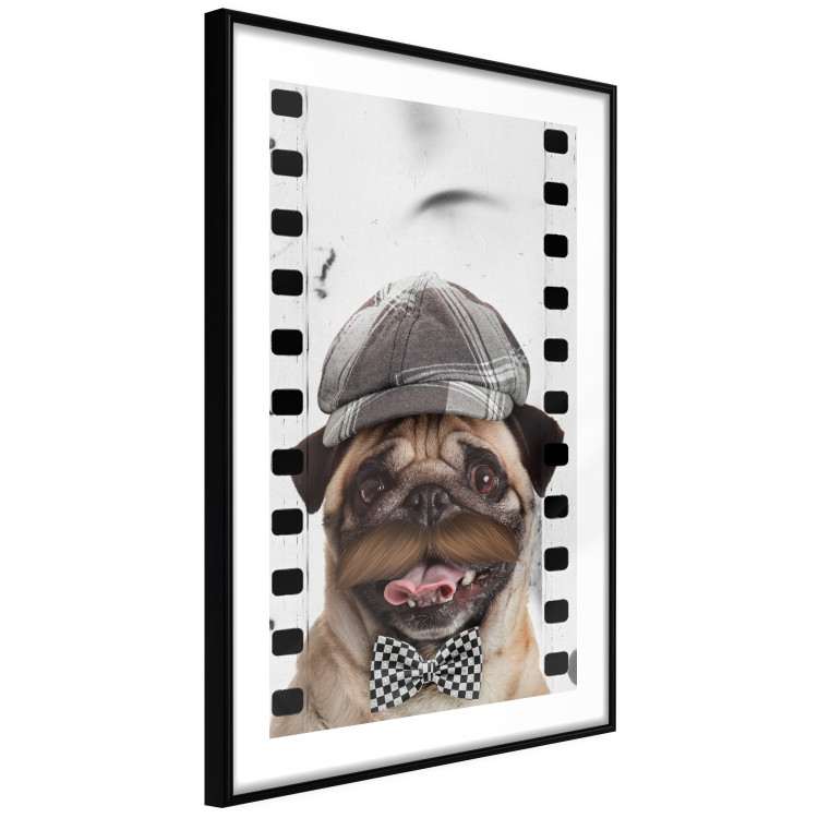 Poster Pug in a Hat - funny fantasy with a mustached dog with a black and white bowtie 116361 additionalImage 11