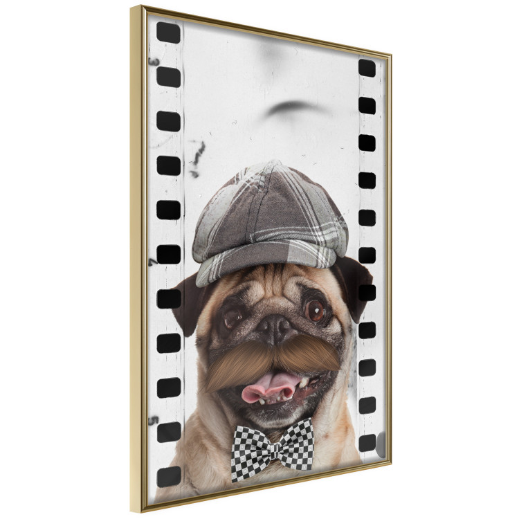 Poster Pug in a Hat - funny fantasy with a mustached dog with a black and white bowtie 116361 additionalImage 12