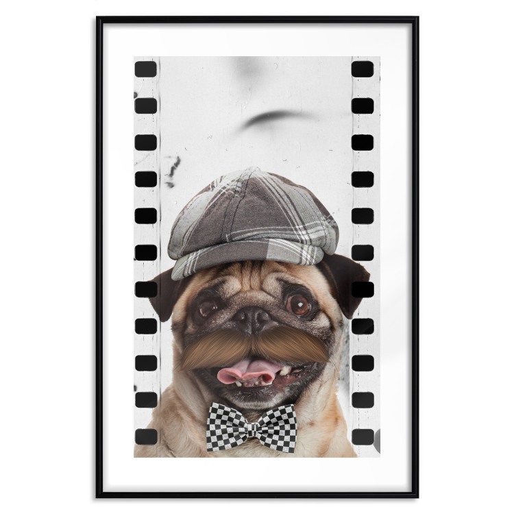 Poster Pug in a Hat - funny fantasy with a mustached dog with a black and white bowtie 116361 additionalImage 17