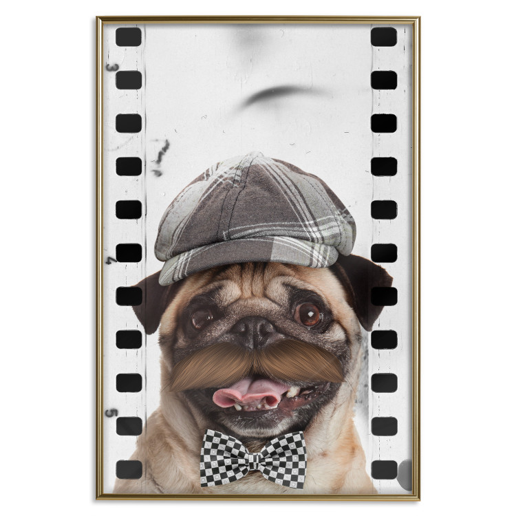 Poster Pug in a Hat - funny fantasy with a mustached dog with a black and white bowtie 116361 additionalImage 20