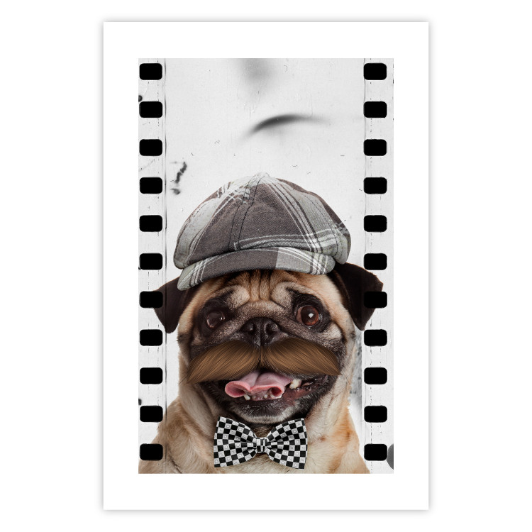 Poster Pug in a Hat - funny fantasy with a mustached dog with a black and white bowtie 116361 additionalImage 19