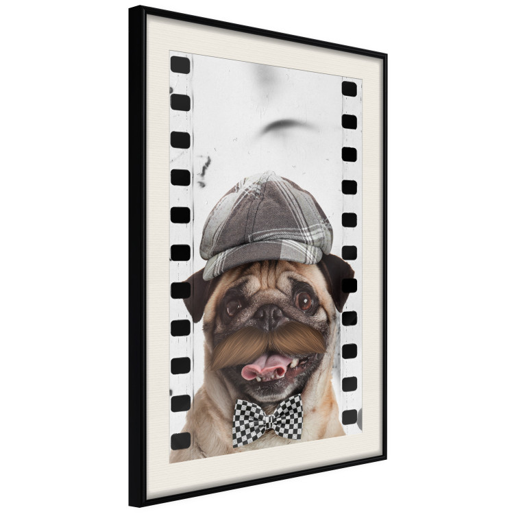 Poster Pug in a Hat - funny fantasy with a mustached dog with a black and white bowtie 116361 additionalImage 3