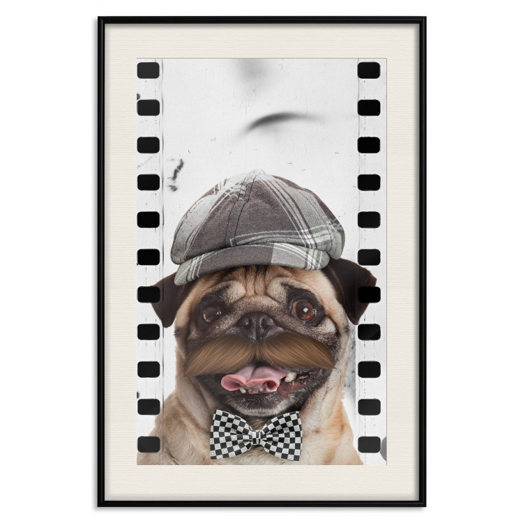 Poster Pug in a Hat - funny fantasy with a mustached dog with a black and white bowtie 116361 additionalImage 18