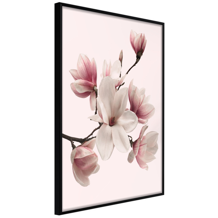 Gallery wall Magnolias 124774 additionalImage 3