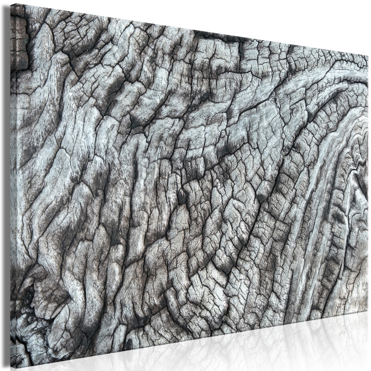 Canvas Tree bark - the structure of nature in monochrome gray 117761 additionalImage 2