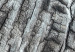 Canvas Tree bark - the structure of nature in monochrome gray 117761 additionalThumb 4
