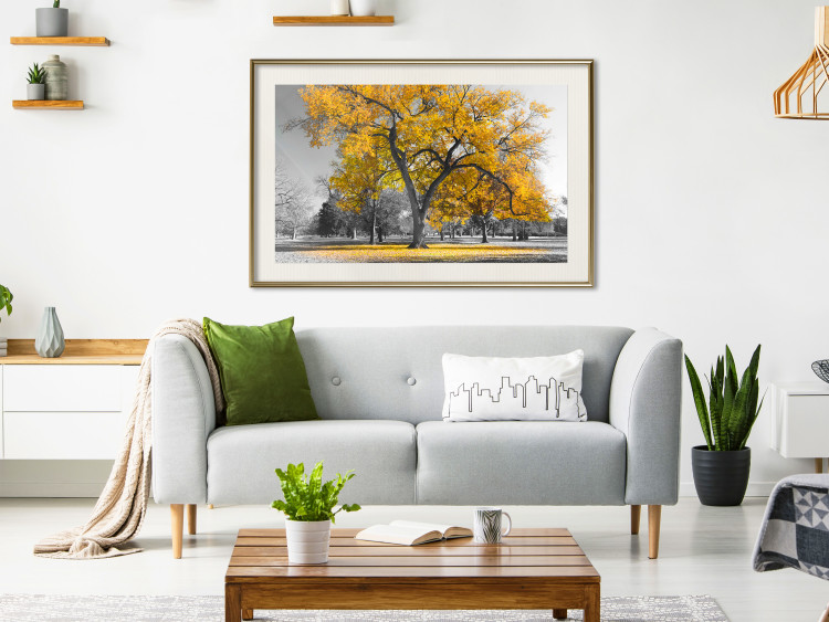 Wall Poster Autumn in the Park (Golden) - gray tree landscape with golden leaves 122761 additionalImage 21