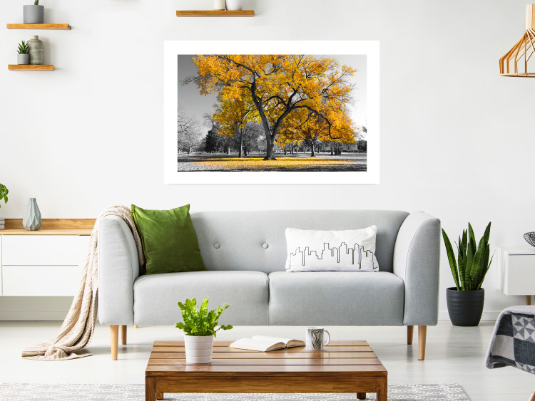 Wall Poster Autumn in the Park (Golden) - gray tree landscape with golden leaves 122761 additionalImage 2