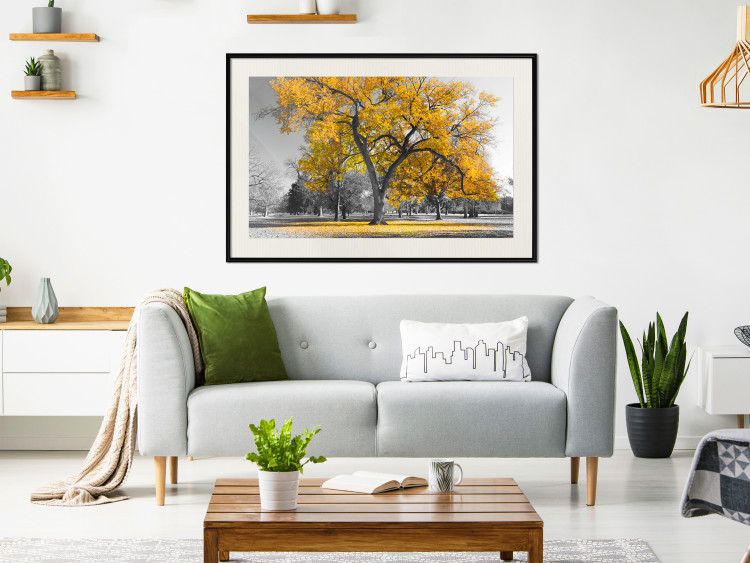 Wall Poster Autumn in the Park (Golden) - gray tree landscape with golden leaves 122761 additionalImage 22