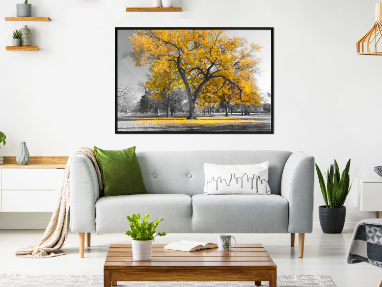 Wall Poster Autumn in the Park (Golden) - gray tree landscape with golden leaves 122761 additionalImage 5