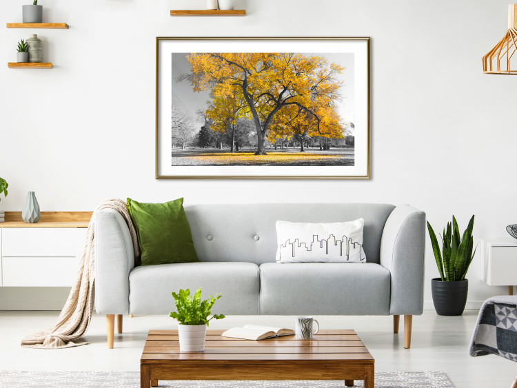 Wall Poster Autumn in the Park (Golden) - gray tree landscape with golden leaves 122761 additionalImage 13