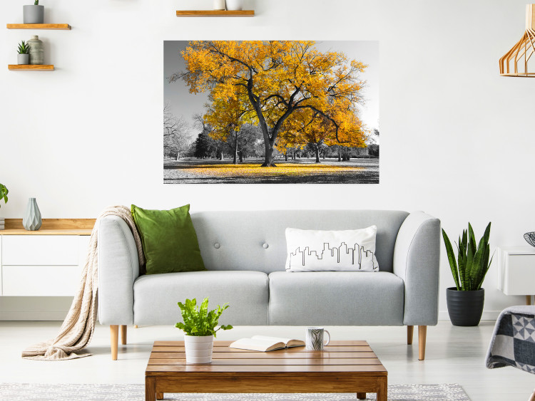 Wall Poster Autumn in the Park (Golden) - gray tree landscape with golden leaves 122761 additionalImage 17