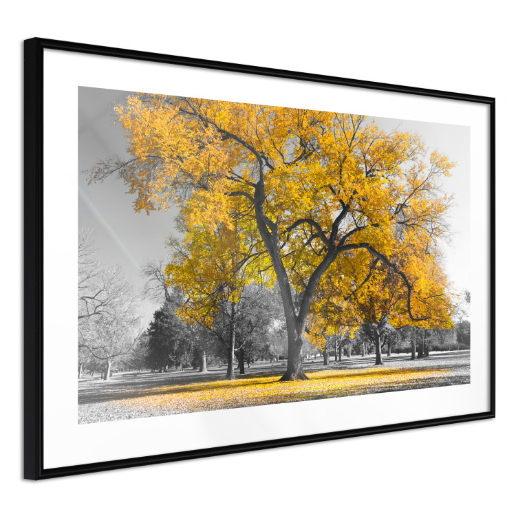 Wall Poster Autumn in the Park (Golden) - gray tree landscape with golden leaves 122761 additionalImage 13