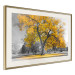 Wall Poster Autumn in the Park (Golden) - gray tree landscape with golden leaves 122761 additionalThumb 2