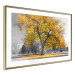 Wall Poster Autumn in the Park (Golden) - gray tree landscape with golden leaves 122761 additionalThumb 6