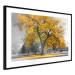 Wall Poster Autumn in the Park (Golden) - gray tree landscape with golden leaves 122761 additionalThumb 13